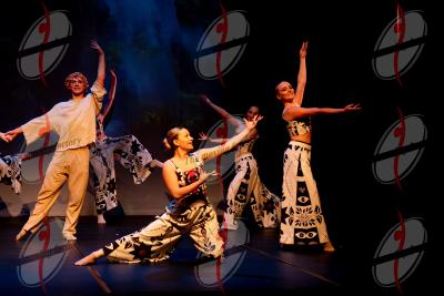 SHOW_02205.jpg